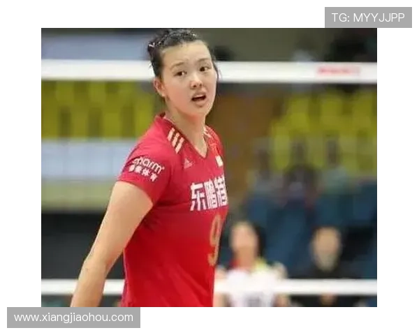 武汉排球队实力分析与发展潜力探讨:数据背后的故事与启示 武汉排球队实力分析与发展潜力探讨:数据背后的故事与启示