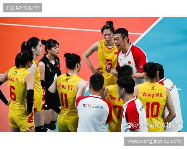 北京排球队的拼搏之路与冠军赛荣耀背后的故事